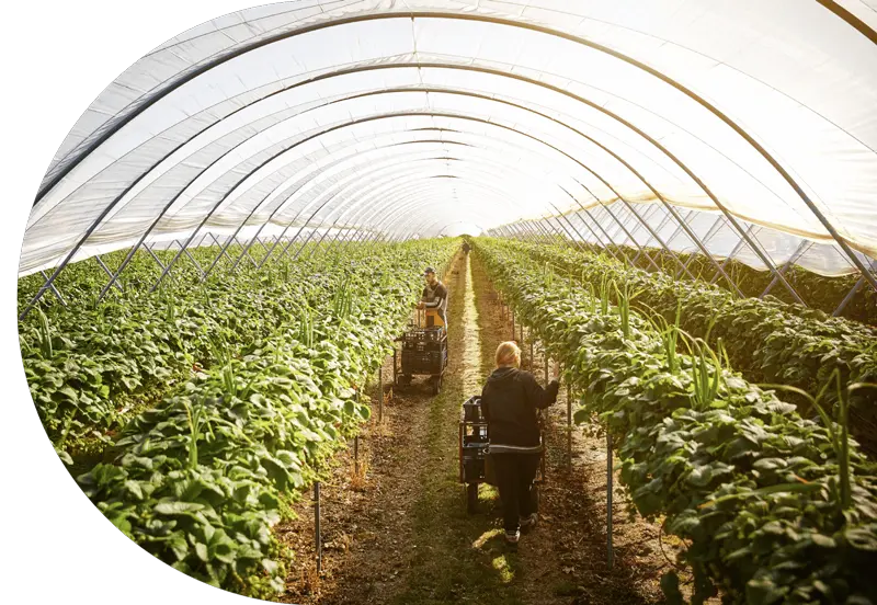 Transformamos y hacemos crecer el mundo de los alimentos gracias a marcas fuertes y un portafolio diverso.